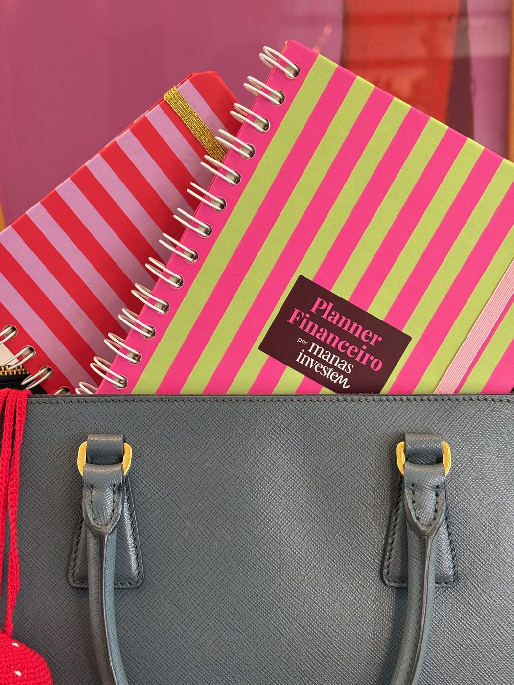 Planner Financeiro por Manas Investem